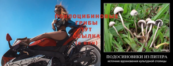 spice Алексин