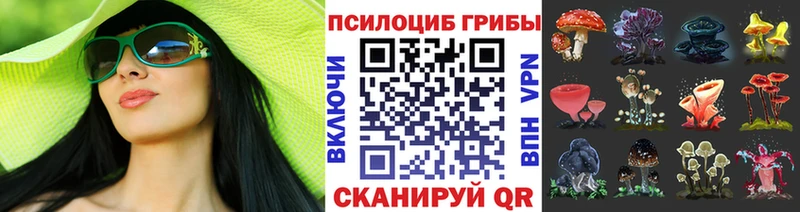 Псилоцибиновые грибы Cubensis Николаевск