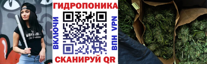 МАРИХУАНА план  Николаевск 